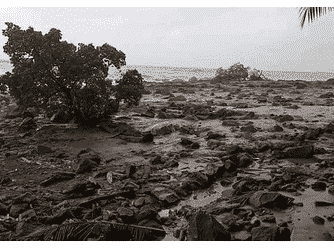 Soal-banjir-di-Nusa-Tenggara,-cek-penyebab-dan-ciri-cirinya-disini